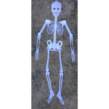 6x 90cm Glow in the Dark White Plastic Hanging Skeleton Bulk Pack - Halloween Decoration
