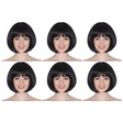 6x Black Bob Wig Bulk Pack - Short Straight Fringe Hair for Cosplay Costume/Fancy Dress Party