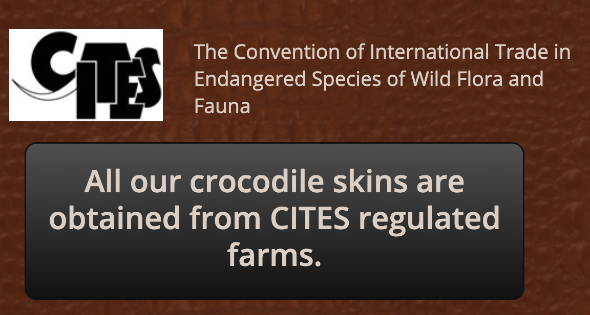 Genuine Crocodile Leather Belt (Hornback) - Made in Australia - Mens