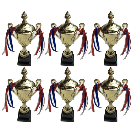6x 30cm Gold Trophy Cup Bulk Pack - Events Award/Sports Day Winners
