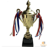 30cm Gold Trophy Cup - Events Award/Sports Day Winners