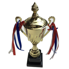 30cm Gold Trophy Cup - Events Award/Sports Day Winners