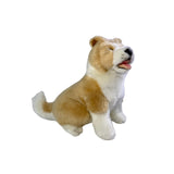 Bocchetta Bailey 23cm Sitting Border Collie Puppy Plush Toy - Tan (Realistic Stuffed Animal Dog Gift)