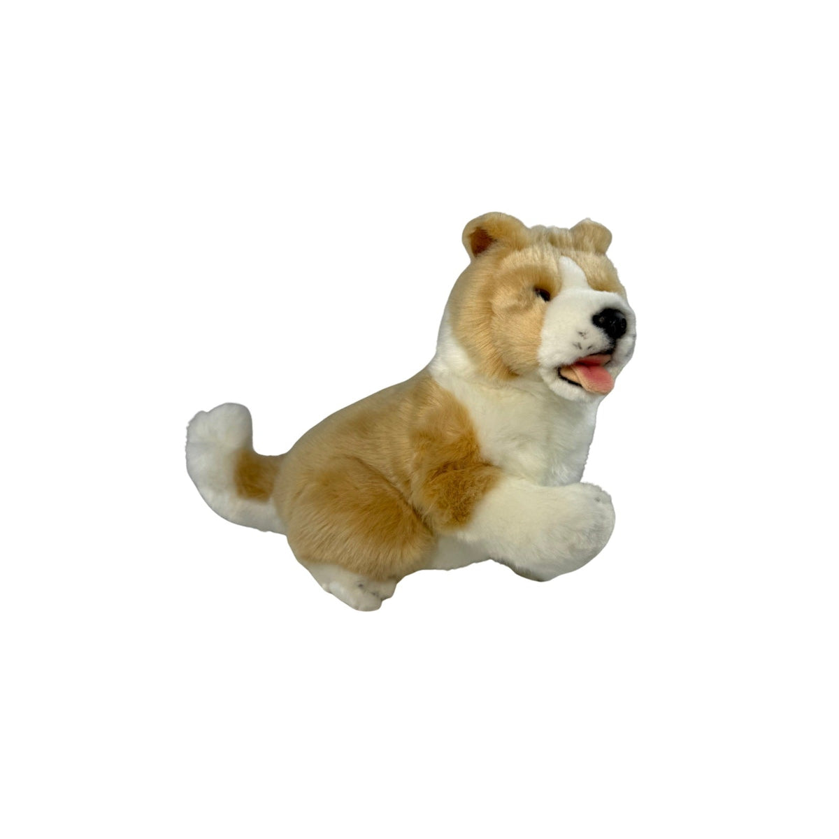 Bocchetta Bailey 23cm Sitting Border Collie Puppy Plush Toy - Tan (Realistic Stuffed Animal Dog Gift)