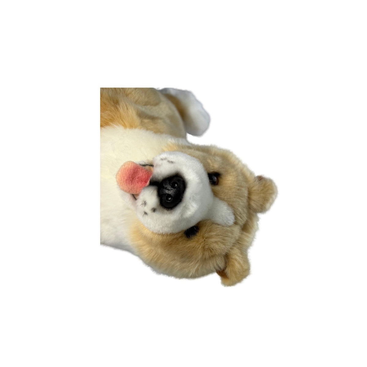 Bocchetta Bailey 23cm Sitting Border Collie Puppy Plush Toy - Tan (Realistic Stuffed Animal Dog Gift)