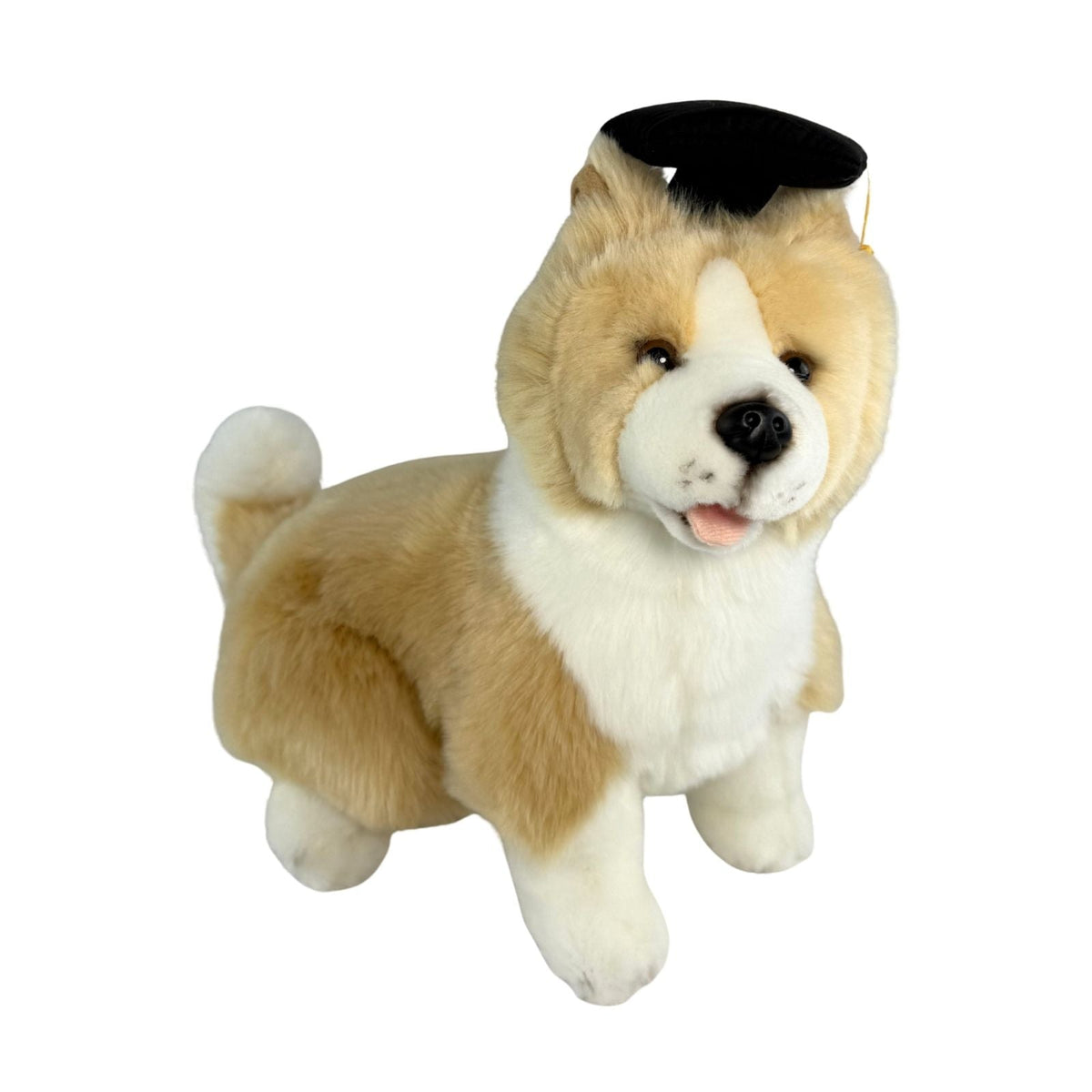Bocchetta Bailey 23cm Graduation Border Collie Plush Toy (Stuffed Animal Dog Grad Gift)