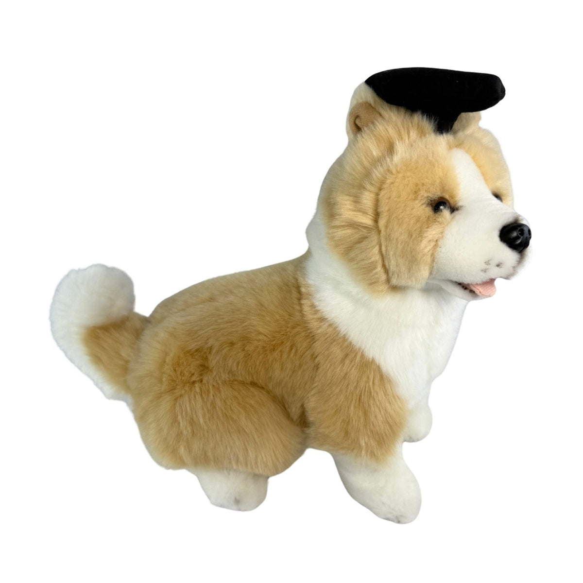 Bocchetta Bailey 23cm Graduation Border Collie Plush Toy (Stuffed Animal Dog Grad Gift)
