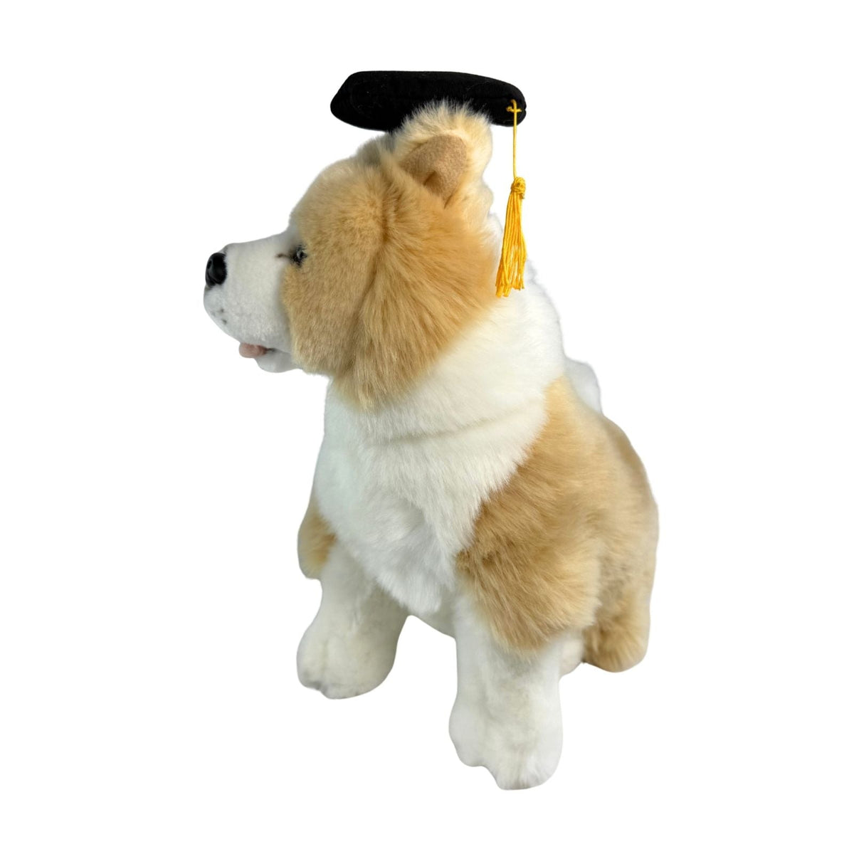 Bocchetta Bailey 23cm Graduation Border Collie Plush Toy (Stuffed Animal Dog Grad Gift)