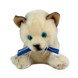 Bocchetta Bamboo 22cm Floppy Siamese Kitten Plush Toy (Realistic Stuffed Animal Cat Gift)