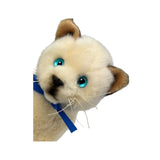 Bocchetta Bamboo 22cm Floppy Siamese Kitten Plush Toy (Realistic Stuffed Animal Cat Gift)