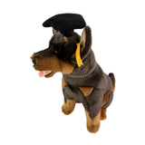 Bocchetta Basil 28cm Graduation Kelpie Plush Toy - Red/Tan (Stuffed Animal Dog Grad Gift)