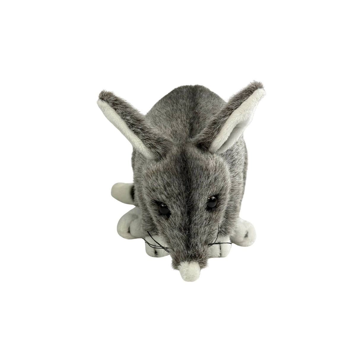 Bocchetta Belinda 20cm Standing Bilby Plush Toy (Australian Stuffed Animal Souvenir Gift)