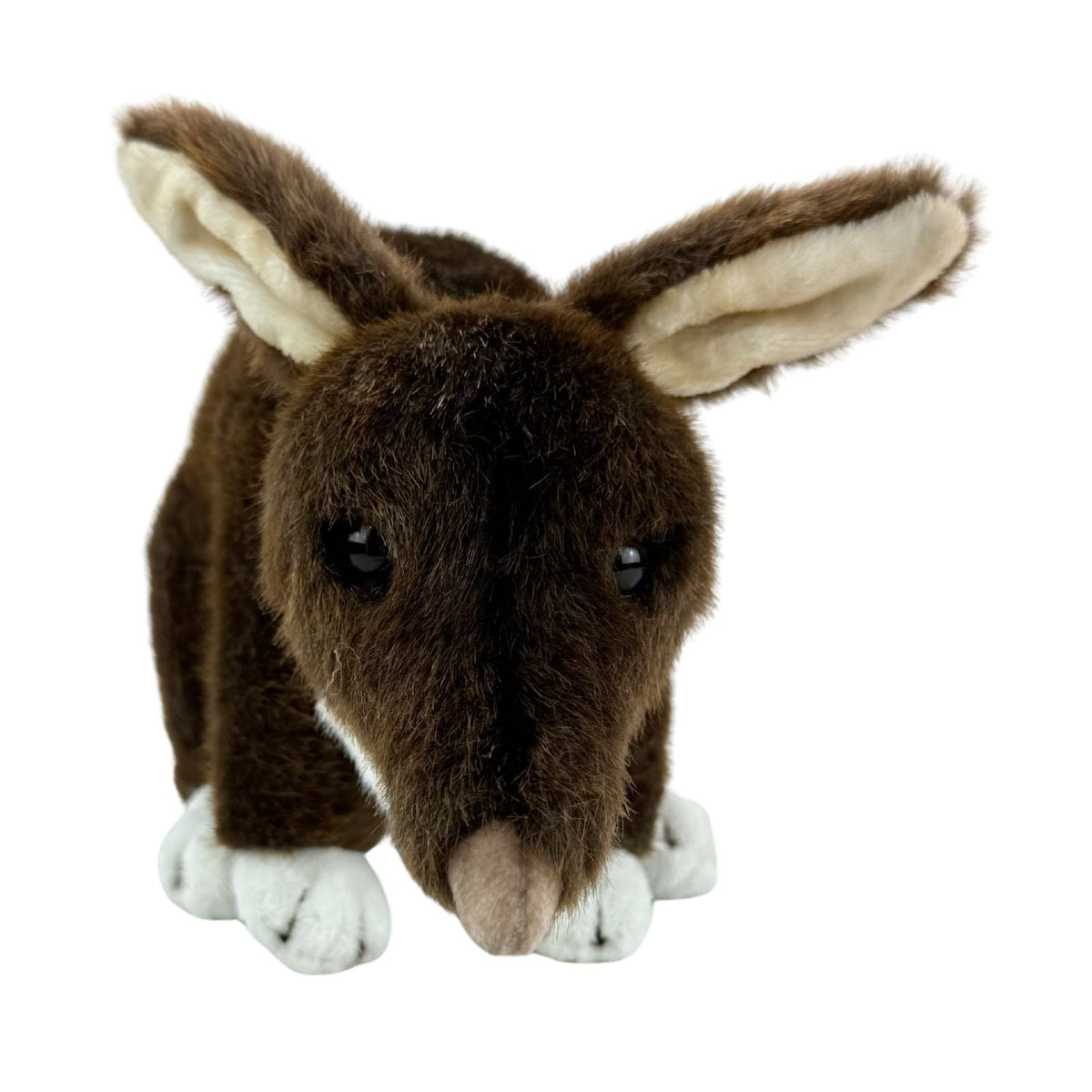 Bocchetta Benny 28cm Standing Bilby Plush Toy (Australian Stuffed Animal Souvenir Gift)