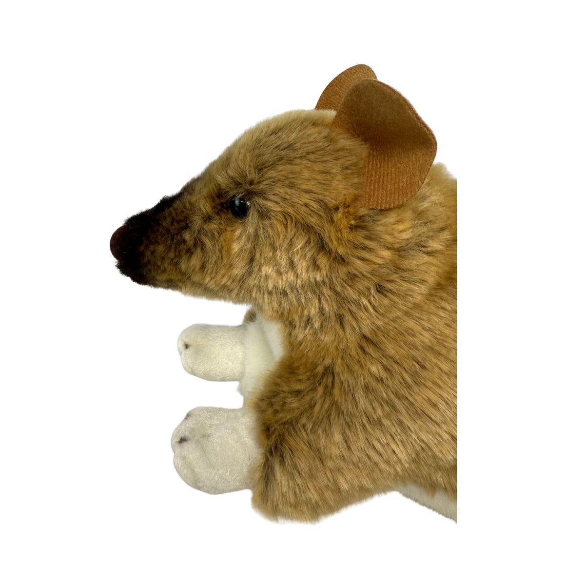 Bocchetta Bert 28cm Bandicoot Plush Toy (Australian Stuffed Animal Souvenir Gift)