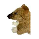 Bocchetta Bert 28cm Bandicoot Plush Toy (Australian Stuffed Animal Souvenir Gift)