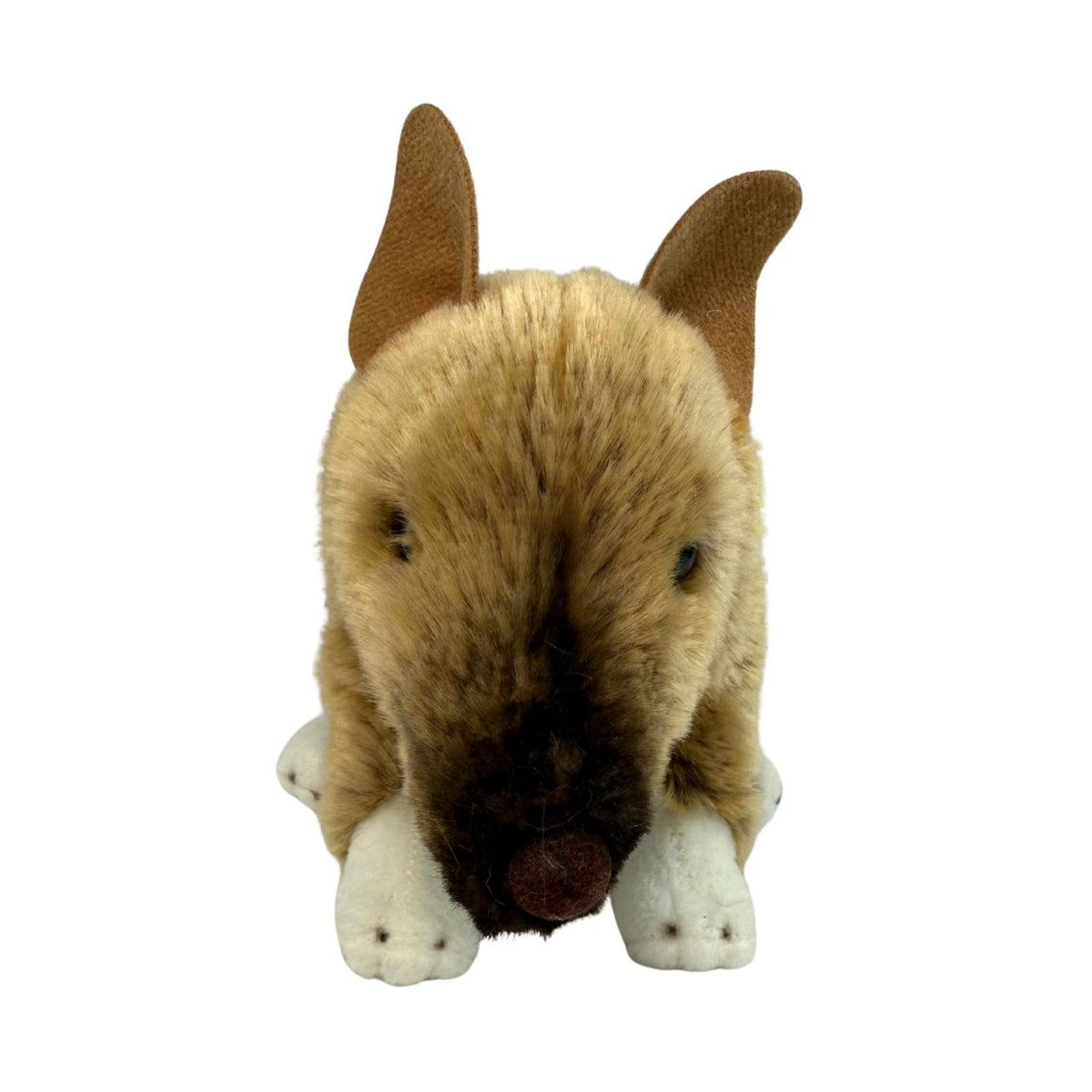 Bocchetta Bert 28cm Bandicoot Plush Toy (Australian Stuffed Animal Souvenir Gift)