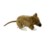 Bocchetta Bert 28cm Bandicoot Plush Toy (Australian Stuffed Animal Souvenir Gift)