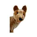 Bocchetta Blaze 22cm Sitting Red Heeler Cattle Dog Plush Toy (Australian Stuffed Animal Gift)