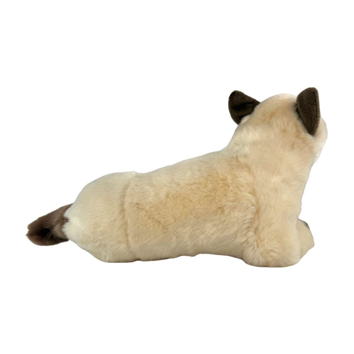 Bocchetta Blossum 30cm Lying Siamese Cat Plush Toy (Realistic Stuffed Animal Cat Gift)
