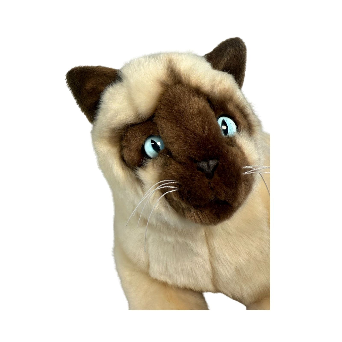 Bocchetta Blossum 30cm Lying Siamese Cat Plush Toy (Realistic Stuffed Animal Cat Gift)