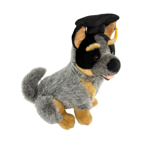 Bocchetta Bluey 22cm Graduation Blue Heeler Cattle Dog Plush Toy (Stuffed Animal Grad Gift)