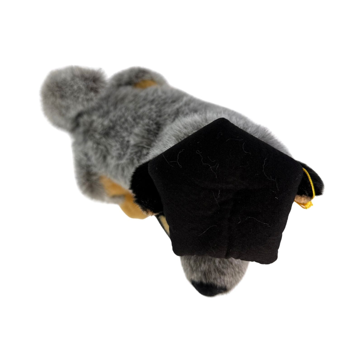 Bocchetta Bluey 22cm Graduation Blue Heeler Cattle Dog Plush Toy (Stuffed Animal Grad Gift)