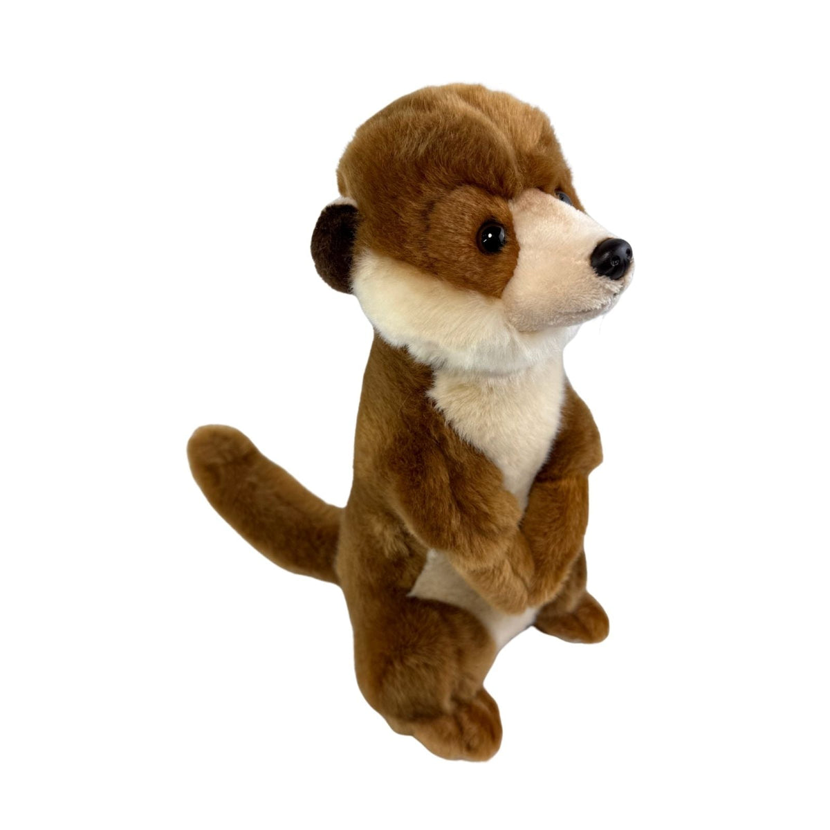 Bocchetta Boris 26cm Standing Meerkat Plush Toy (Realistic Stuffed Animal Wildlife Gift)