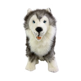Bocchetta Brock 35cm Sitting Husky Plush Toy (Realistic Stuffed Animal Dog Gift)