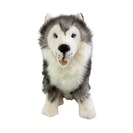 Bocchetta Brock 35cm Sitting Husky Plush Toy (Realistic Stuffed Animal Dog Gift)