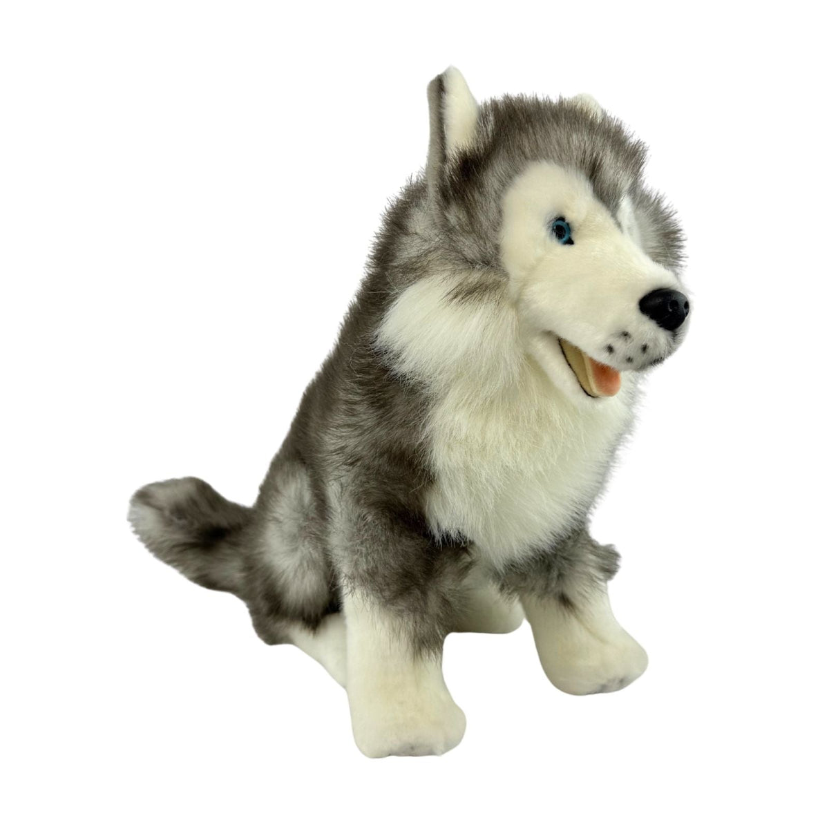Bocchetta Brock 35cm Sitting Husky Plush Toy (Realistic Stuffed Animal Dog Gift)
