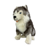 Bocchetta Brock 35cm Sitting Husky Plush Toy (Realistic Stuffed Animal Dog Gift)