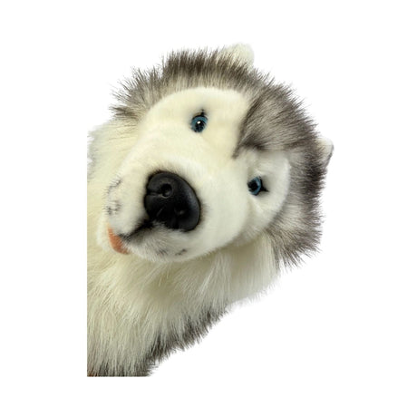 Bocchetta Brock 35cm Sitting Husky Plush Toy (Realistic Stuffed Animal Dog Gift)