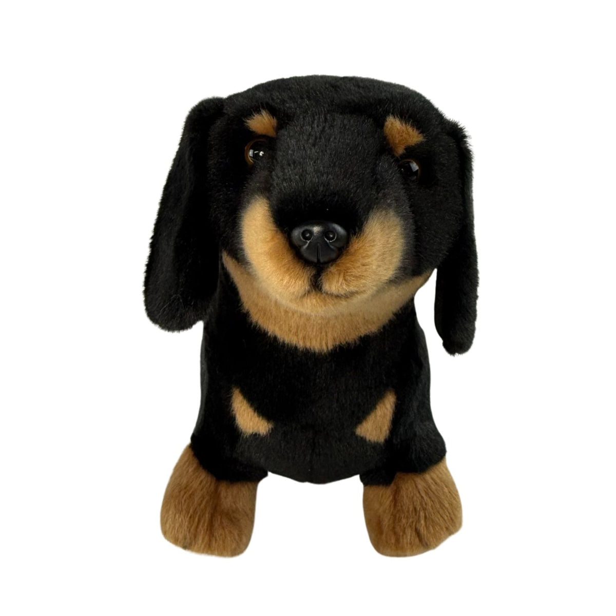 Bocchetta Buddy 36cm Standing Dachshund Plush Toy - Black/Tan (Realistic Stuffed Animal Dog Gift)