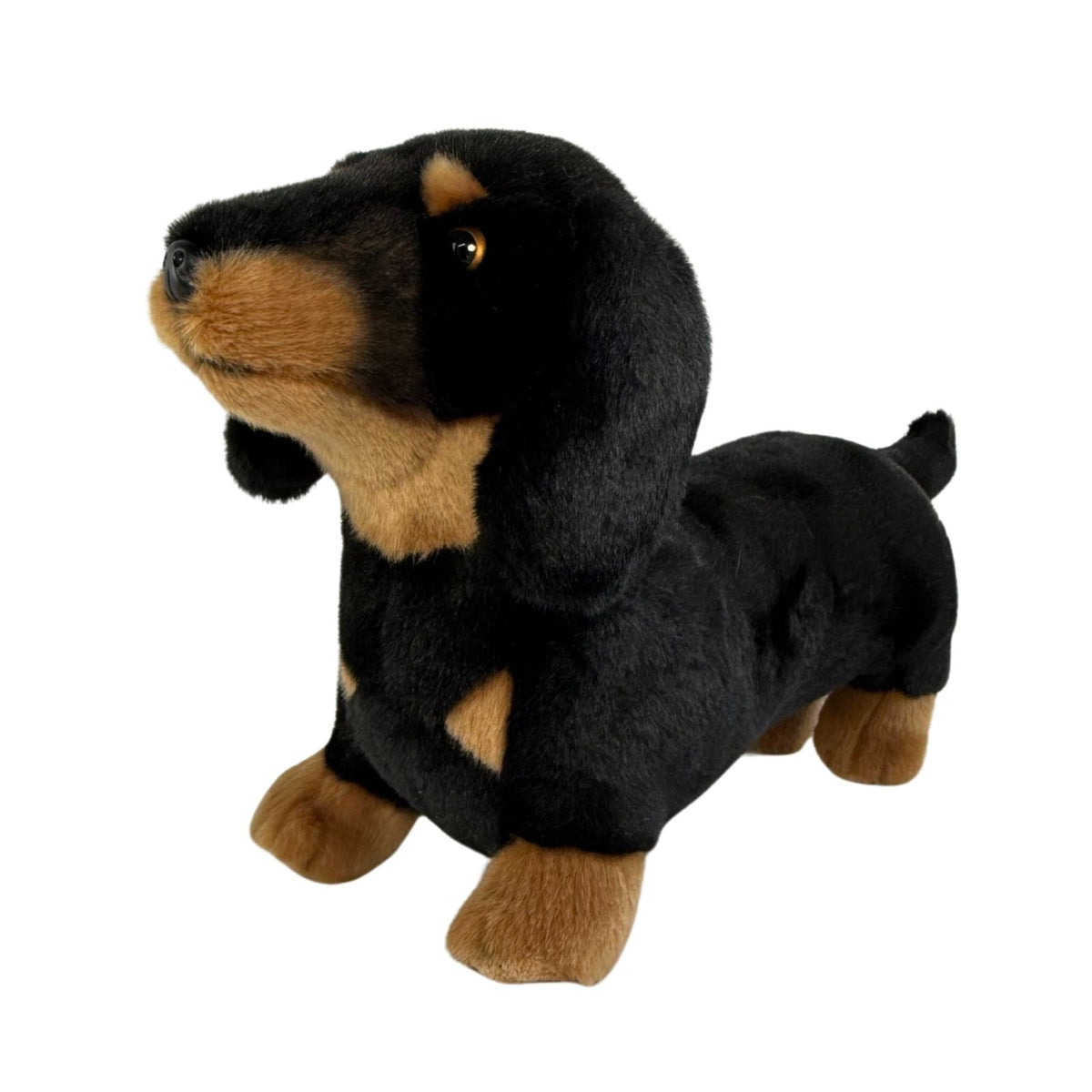 Bocchetta Buddy 36cm Standing Dachshund Plush Toy - Black/Tan (Realistic Stuffed Animal Dog Gift)