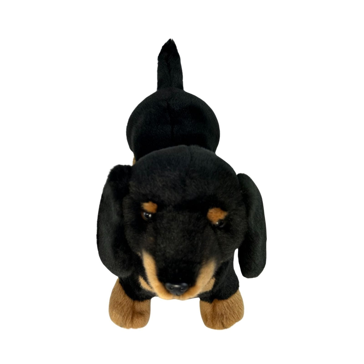 Bocchetta Buddy 36cm Standing Dachshund Plush Toy - Black/Tan (Realistic Stuffed Animal Dog Gift)