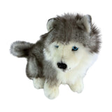 Bocchetta Button 26cm Sitting Husky Puppy Plush Toy (Realistic Stuffed Animal Dog Gift)