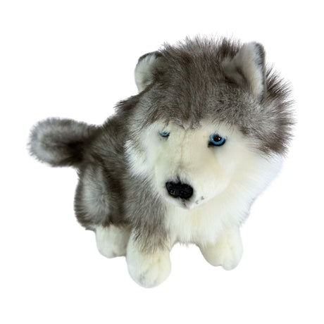 Bocchetta Button 26cm Sitting Husky Puppy Plush Toy (Realistic Stuffed Animal Dog Gift)