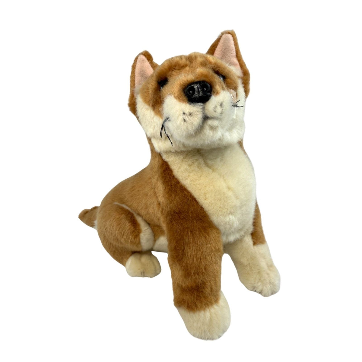 Bocchetta Byron 25cm Sitting Dingo Plush Toy - Tan (Australian Stuffed Animal Souvenir Gift)