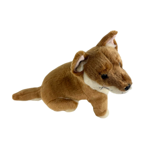 Bocchetta Byron 25cm Sitting Dingo Plush Toy - Tan (Australian Stuffed Animal Souvenir Gift)