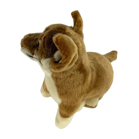 Bocchetta Byron 25cm Sitting Dingo Plush Toy - Tan (Australian Stuffed Animal Souvenir Gift)
