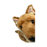 Bocchetta Byron 25cm Sitting Dingo Plush Toy - Tan (Australian Stuffed Animal Souvenir Gift)