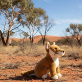 Bocchetta Byron 25cm Sitting Dingo Plush Toy - Tan (Australian Stuffed Animal Souvenir Gift)