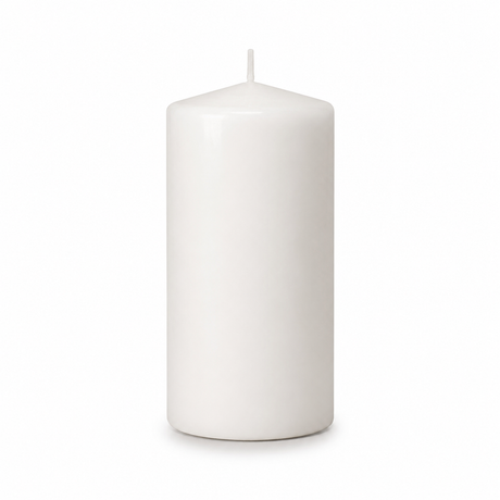 48x White Church Pillar Candles Bulk Pack - Unscented & Lead Free (5x10cm / 2x4")