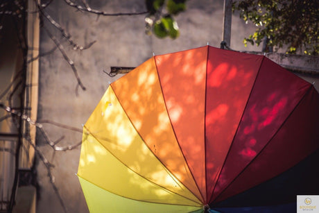 3x 120cm Rainbow Umbrella Pack - Colourful Parasol w/ Long Shaft