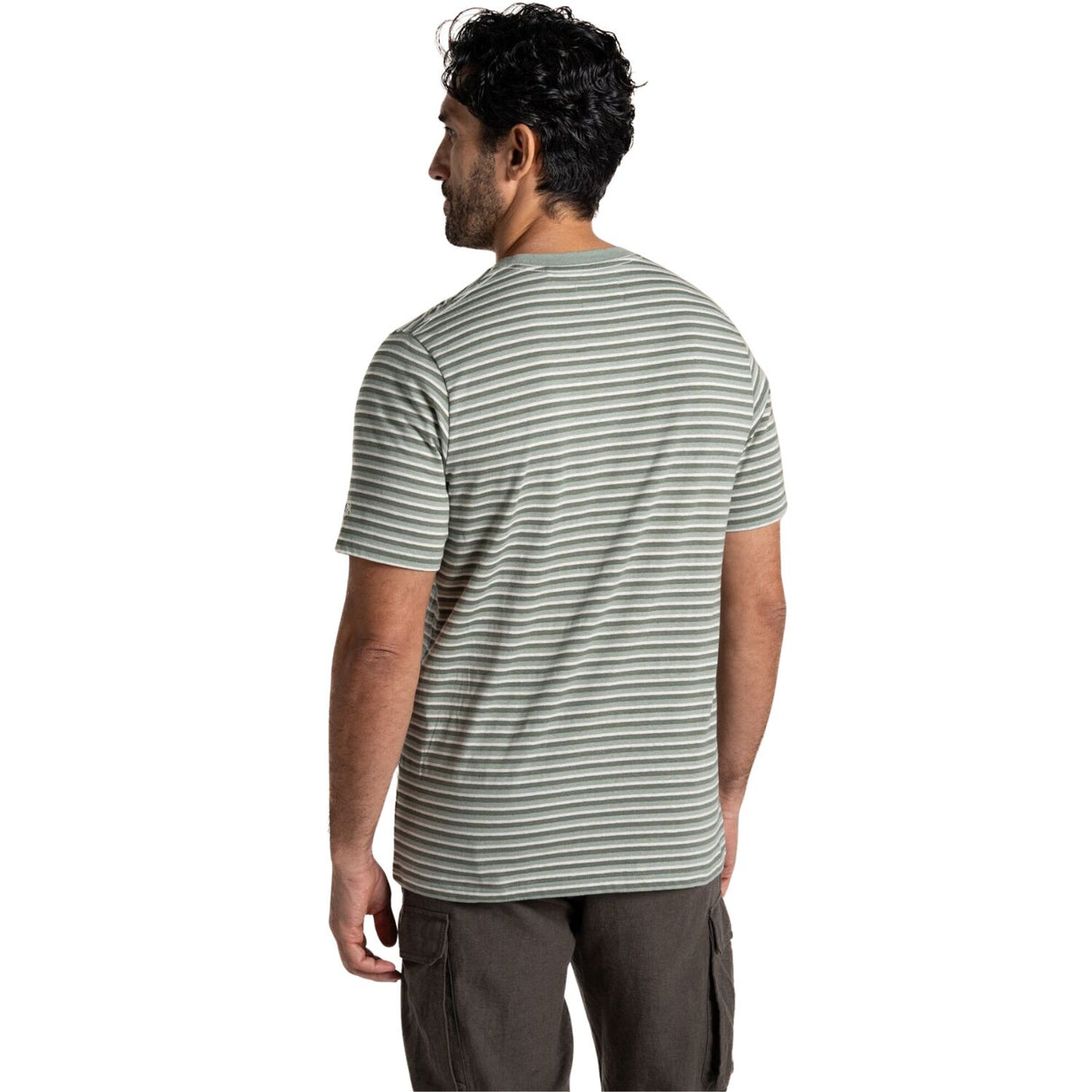Craghoppers Mens Buffon Anti-Insect Organic Cotton Linen Blend Short Sleeve T-Shirt in Lichen Green Stripe