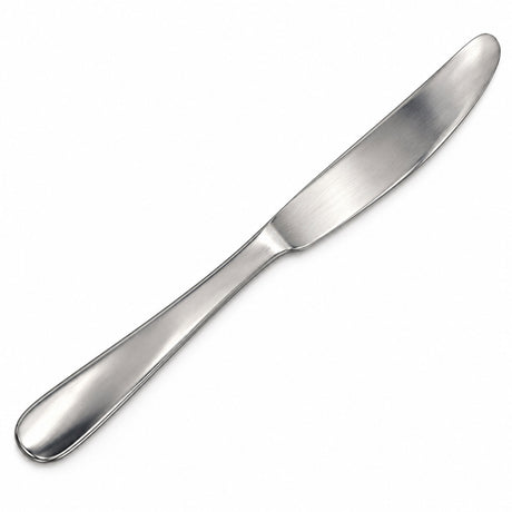 12x Stainless Steel Dinner Knives Bulk Pack - Silver (Table Knife Cutlery Set)