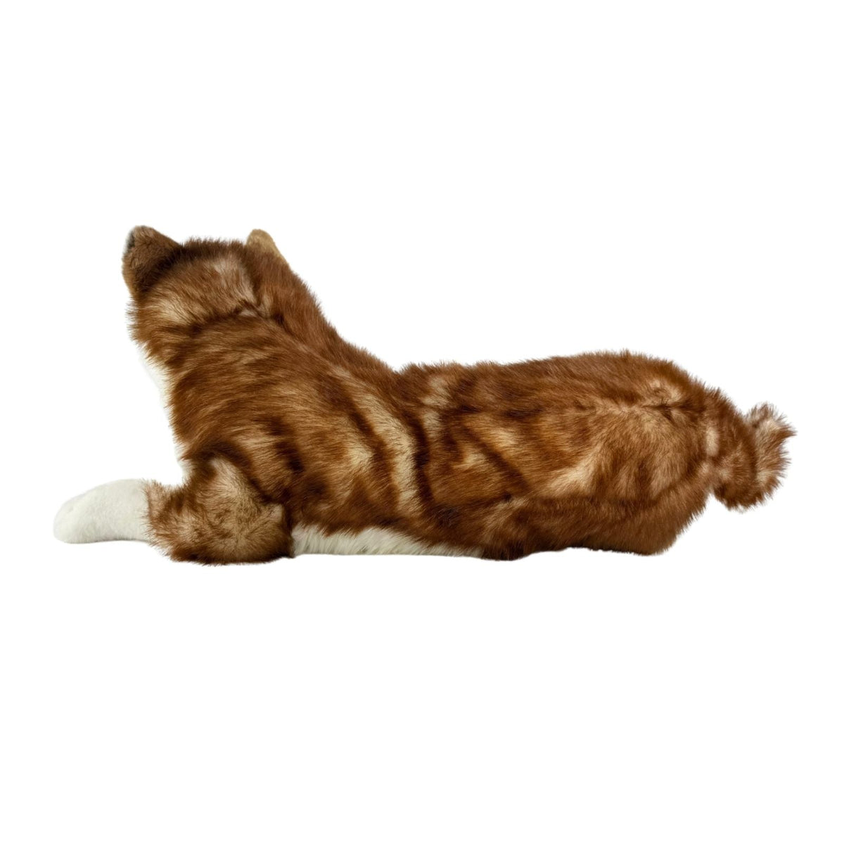 Bocchetta Cade 62cm Lying Husky with Satin Pocket Plush Toy - Red (Realistic Stuffed Animal Dog Gift)