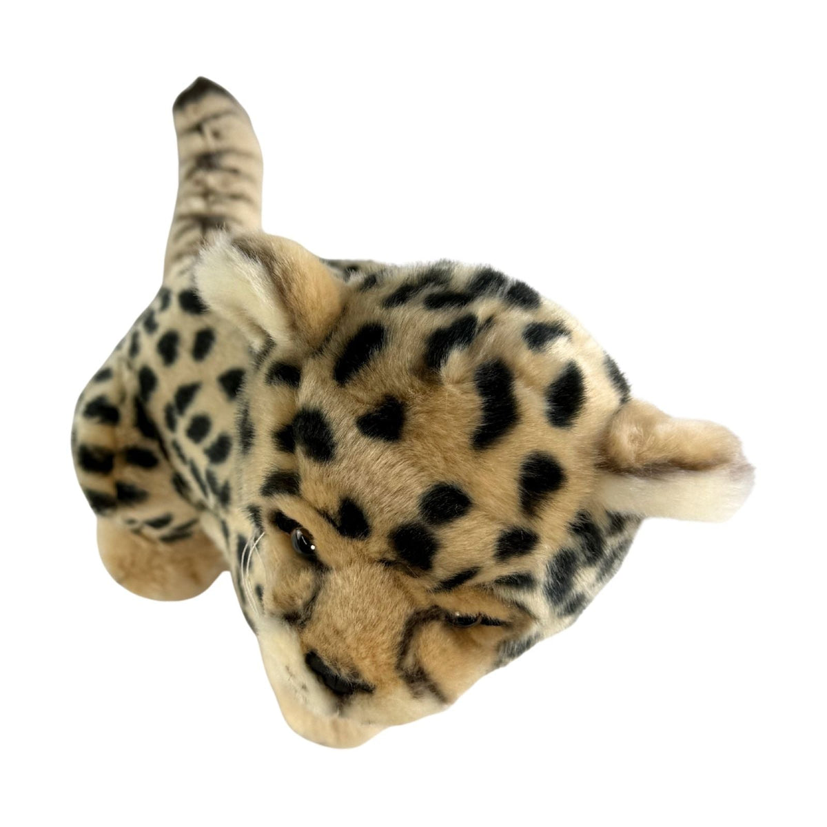 Bocchetta Calypso 26cm Sitting Cheetah Cub Plush Toy (Realistic Stuffed Animal Wildlife Gift)