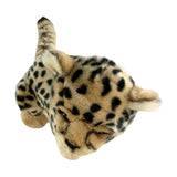 Bocchetta Calypso 26cm Sitting Cheetah Cub Plush Toy (Realistic Stuffed Animal Wildlife Gift)