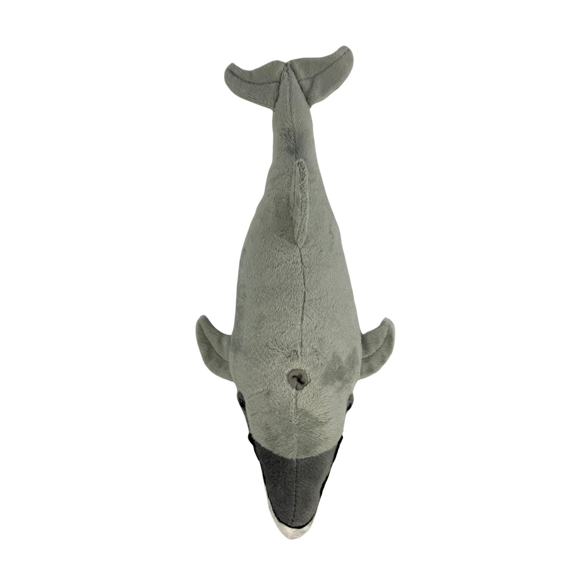 Bocchetta Celia 40cm Bottlenose Dolphin Plush Toy (Realistic Stuffed Animal Sea Life Gift)
